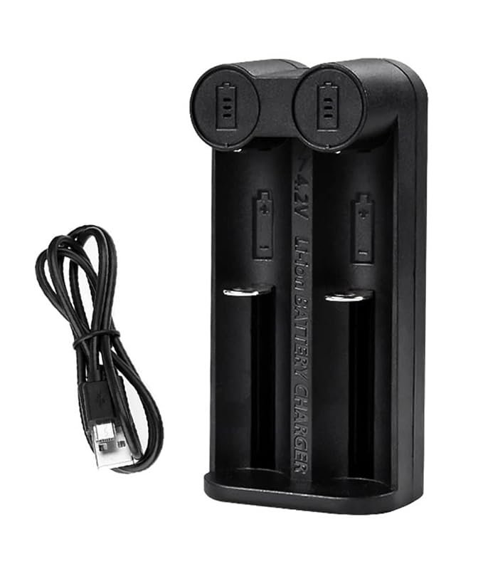 amiciSmart Intelligent Battery Charger, Dual Slot Charger
