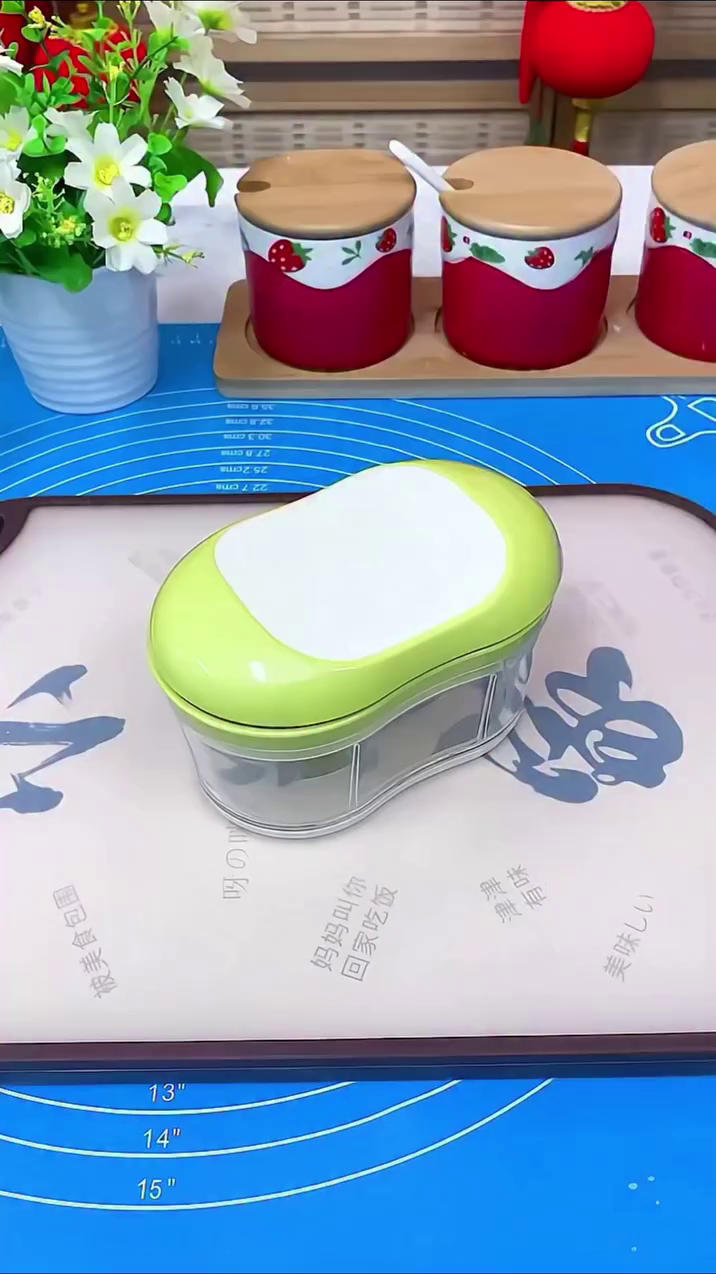 Hand Push Garlic Chopper with Stainless Steel Double Blade Vegetables Cutter for Onion, Carrot