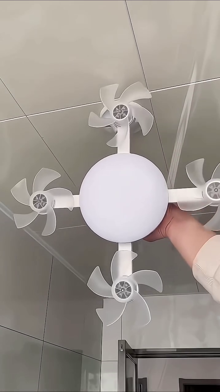 Ceiling Fan Light Remote Control Decor LED Light for Entryway Bedroom Indoor 4 Heads Fan 55cm